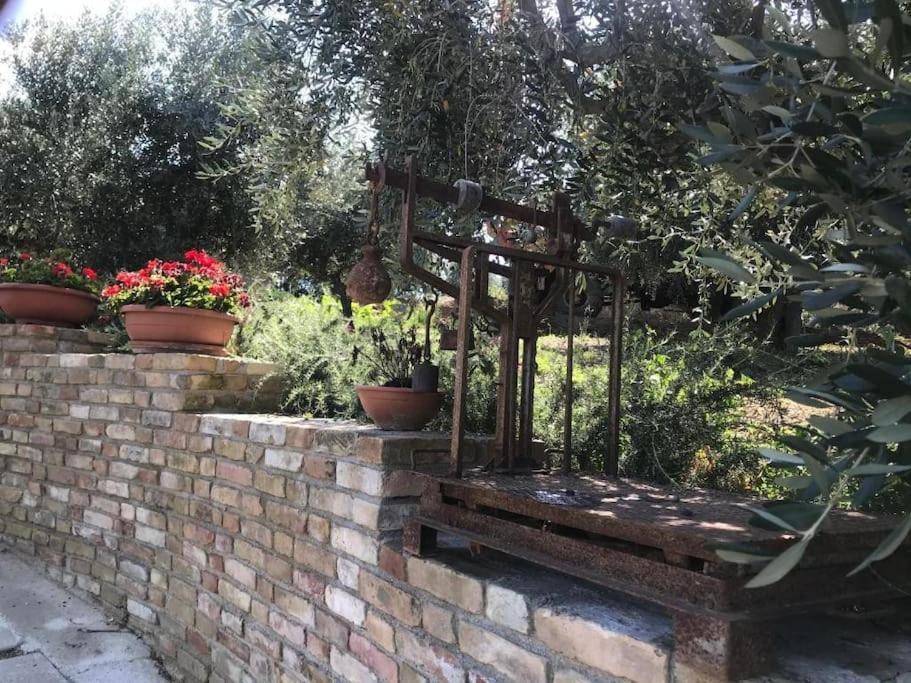 Appartamento Olivo Collecorvino Exterior foto