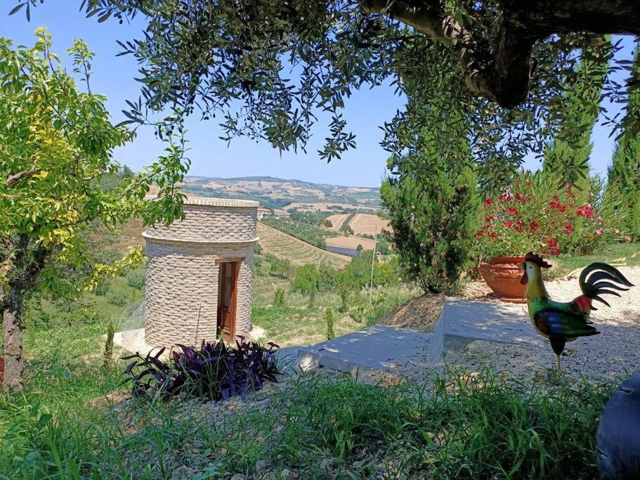 Appartamento Olivo Collecorvino Exterior foto